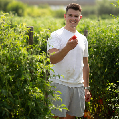 Gustarosso San Marzano Tomaten DOP